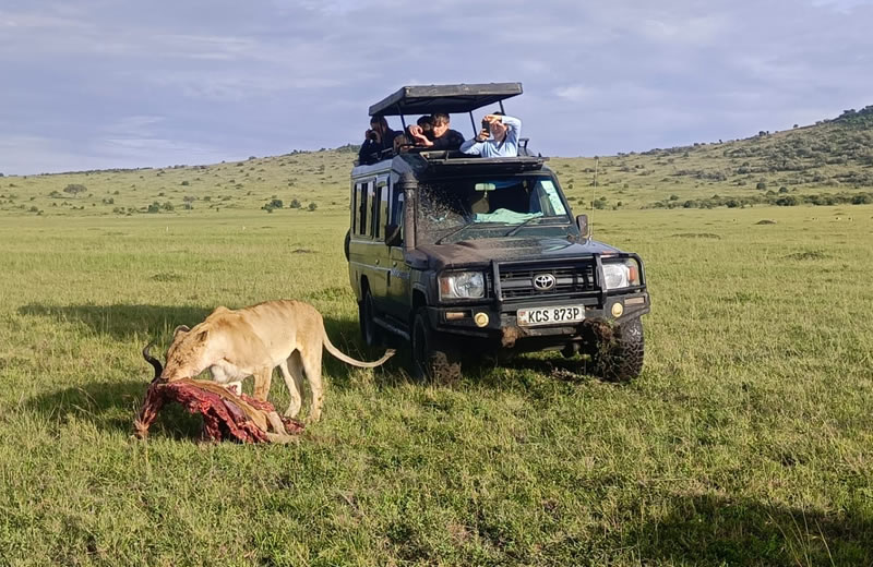 4days masai mara and lake nakuru1