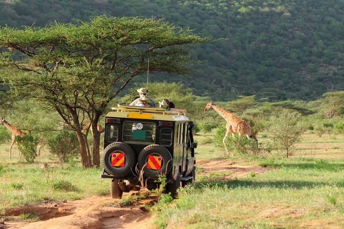 tours & travel safaris